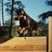 doberman13