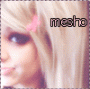   Mesho3