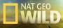   NAT GEO