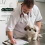   dr_mokhtar
