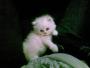   Sweetiee_Princess